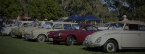 Volkswagen Club Of SA Committee Members